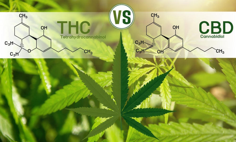 chemical formula of THC and CBD on a marijuana leaf background