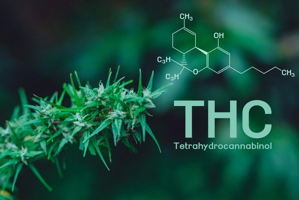 THC vs TAC: Everything You Need To Know from CBD Recipes.