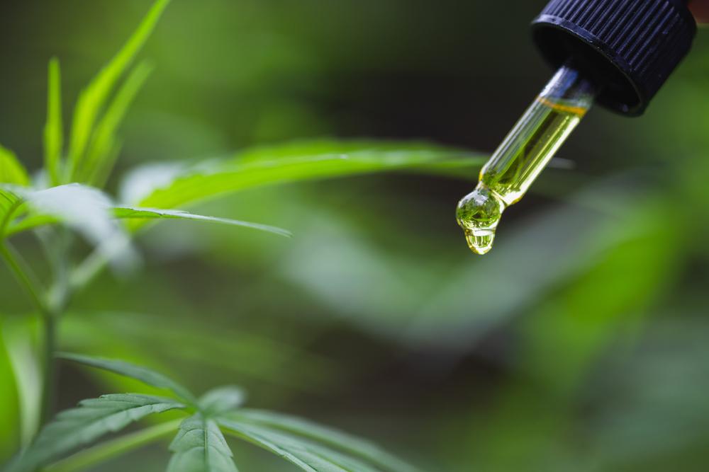 CBD Isolate vs Full-Spectrum CBD: What's The Difference? from CBD Recipes.